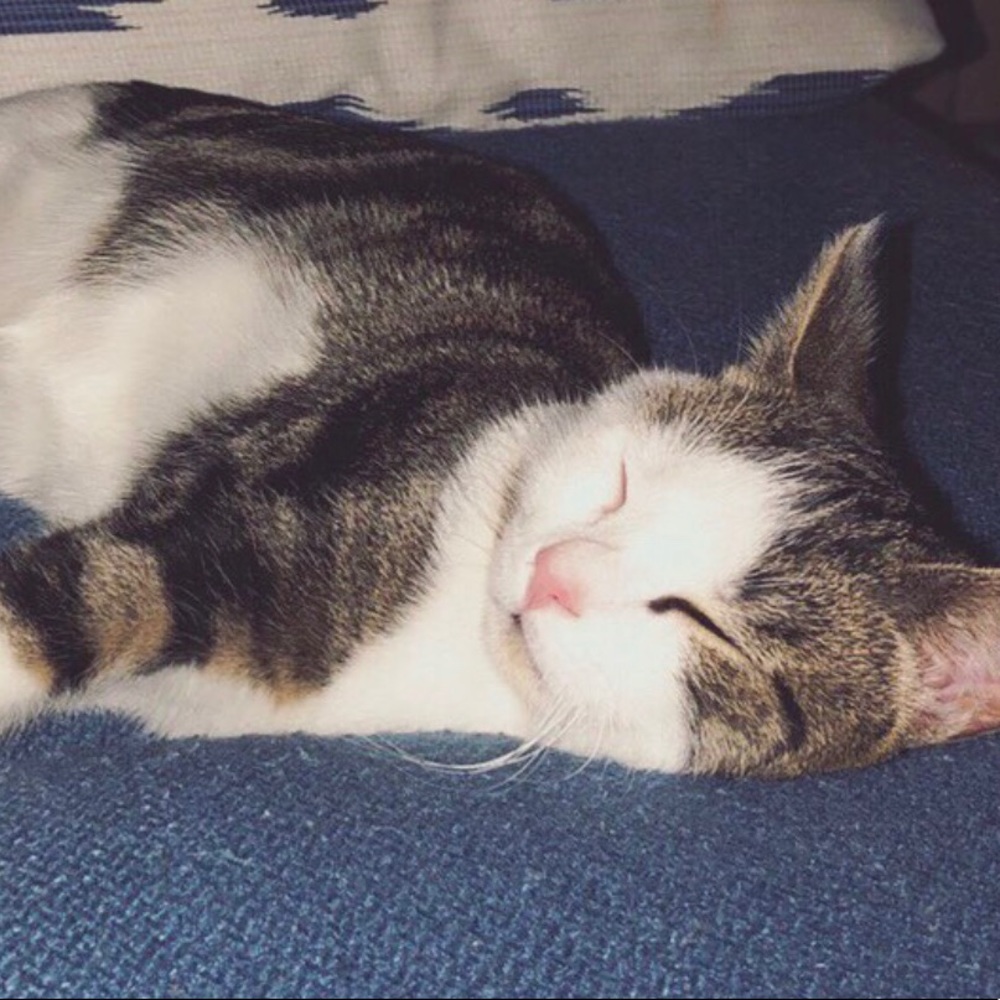 Meet your Posher, Elizabeth